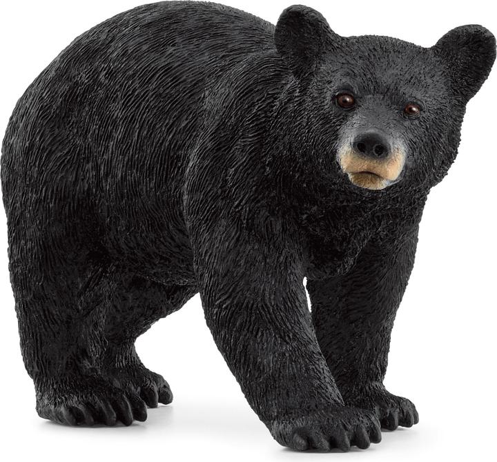 Image du produit Schleich Ours noir américain