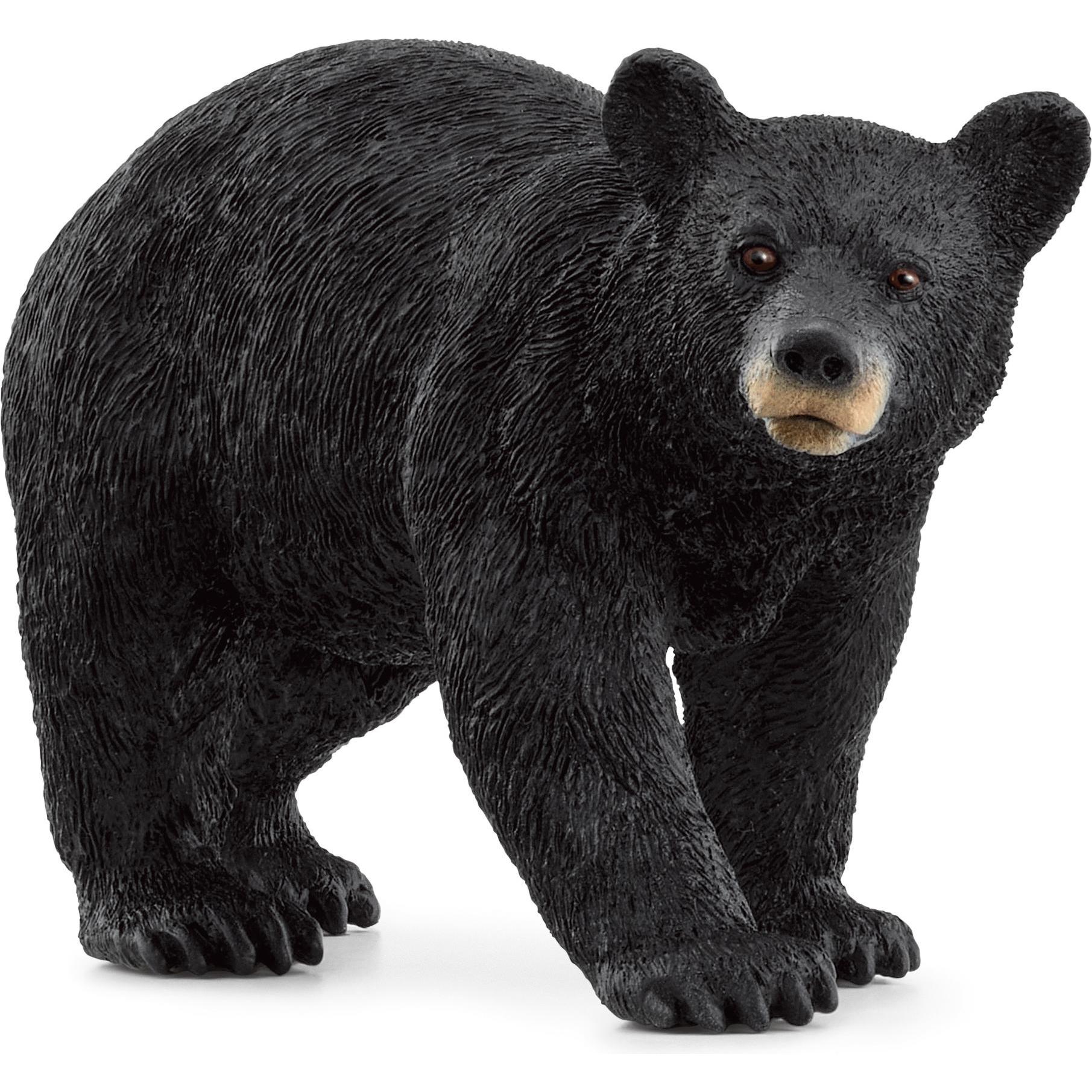 Schleich Amerikanischer Schwarzbär