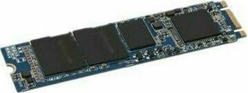 Produktbild Dell 240G M.2 Drive CK (240 GB, M.2 2280)