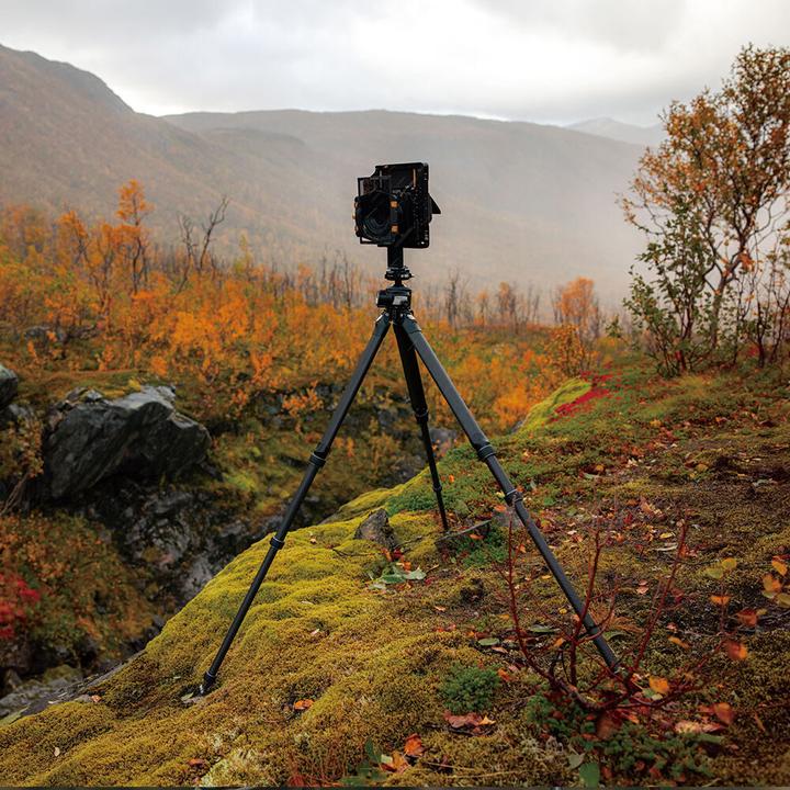 Actual product image Falcam TreeRoot Quick Lock Pro Tripod T00A4901