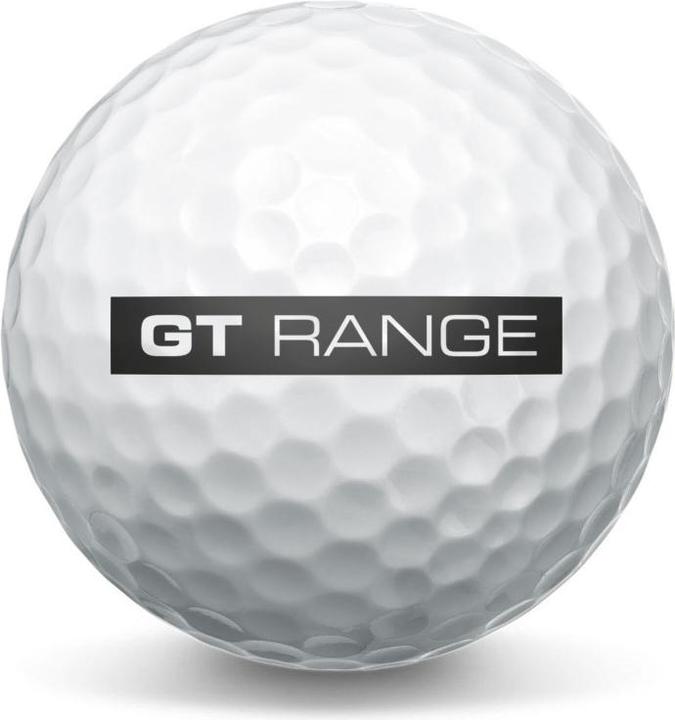 Actual product image Masters Golf Range Balls GT 2 piece white 300 Bälle