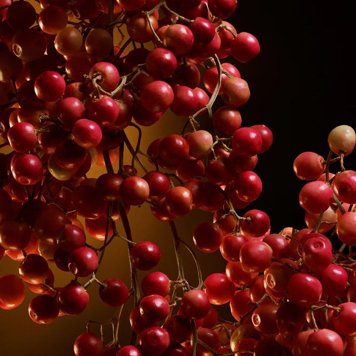 Produktbild Dolce & Gabbana The One Eau De Parfum Intense 30ml Vaporisateur (Eau de Parfum, 30 ml)