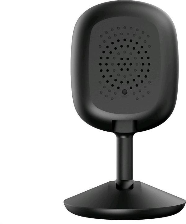 Immagine prodotto D-Link DCS-6100LH (1920 x 1080 Pixels)