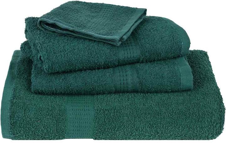 Immagine prodotto vidaXL Asciugamani per ospiti 2 pz. Verde 30x50 cm 360 g/m² 100% cotone asciugamano ospite (30 x 50 cm)