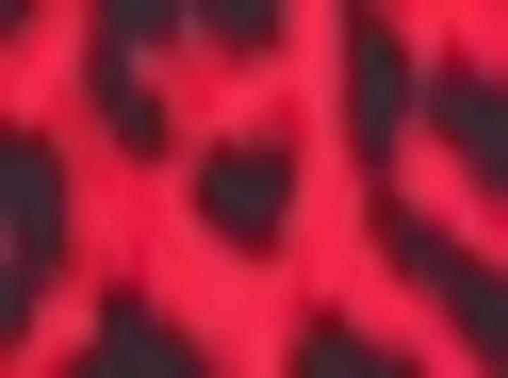 Produktbild Samoon Tunika mit Animal-Print Bluse Langarm (44)