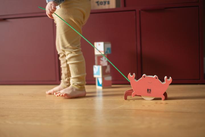 Actual product image BS Pull the crab