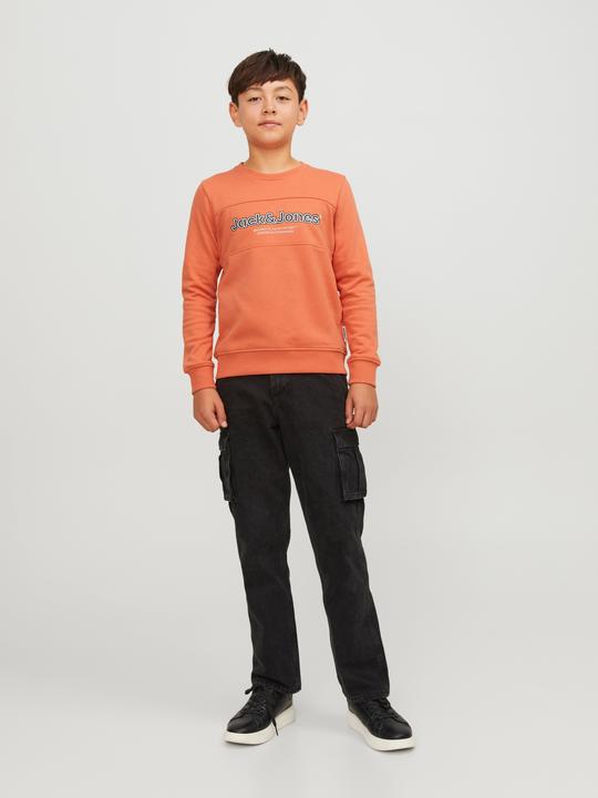 Produktbild Jack & Jones Boys Crew Neck Sweatshirt (176)