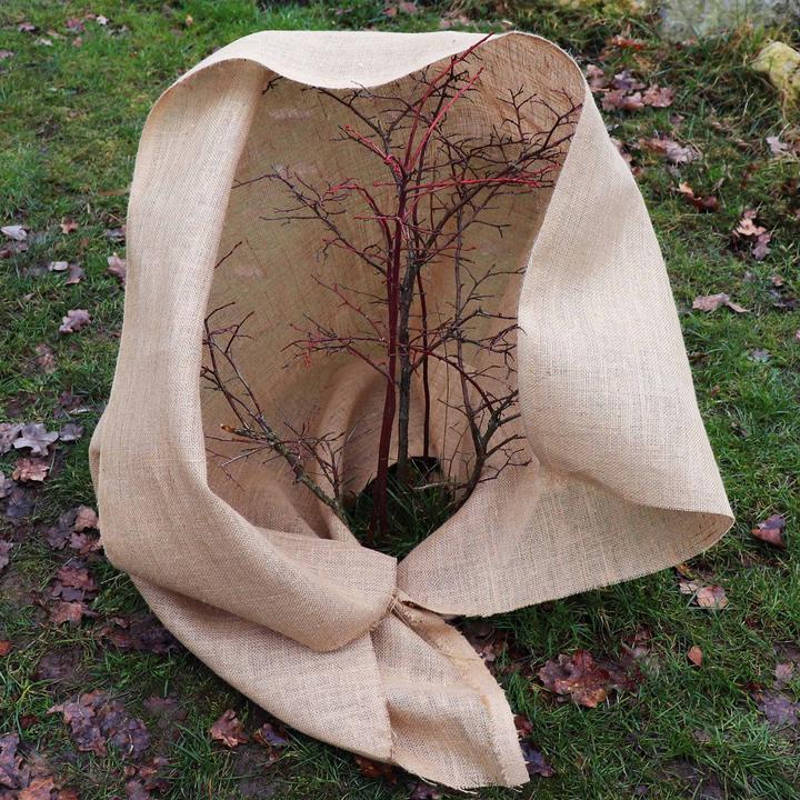 Immagine prodotto Aquagart 50m x 1m Jutegewebe 305g/m² Jutematte Gartenjute Jute Stoff Sackleinen Juteband