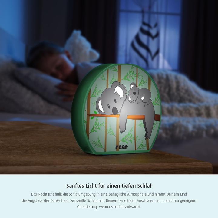 Image du produit Reer My BabyLight - Koala