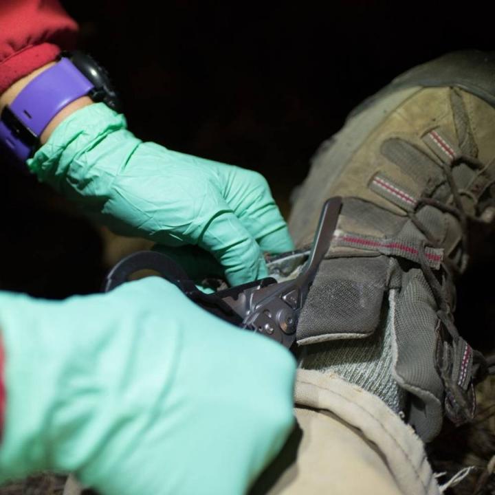 Immagine prodotto Leatherman Salvataggio Raptor (6 Funzioni)