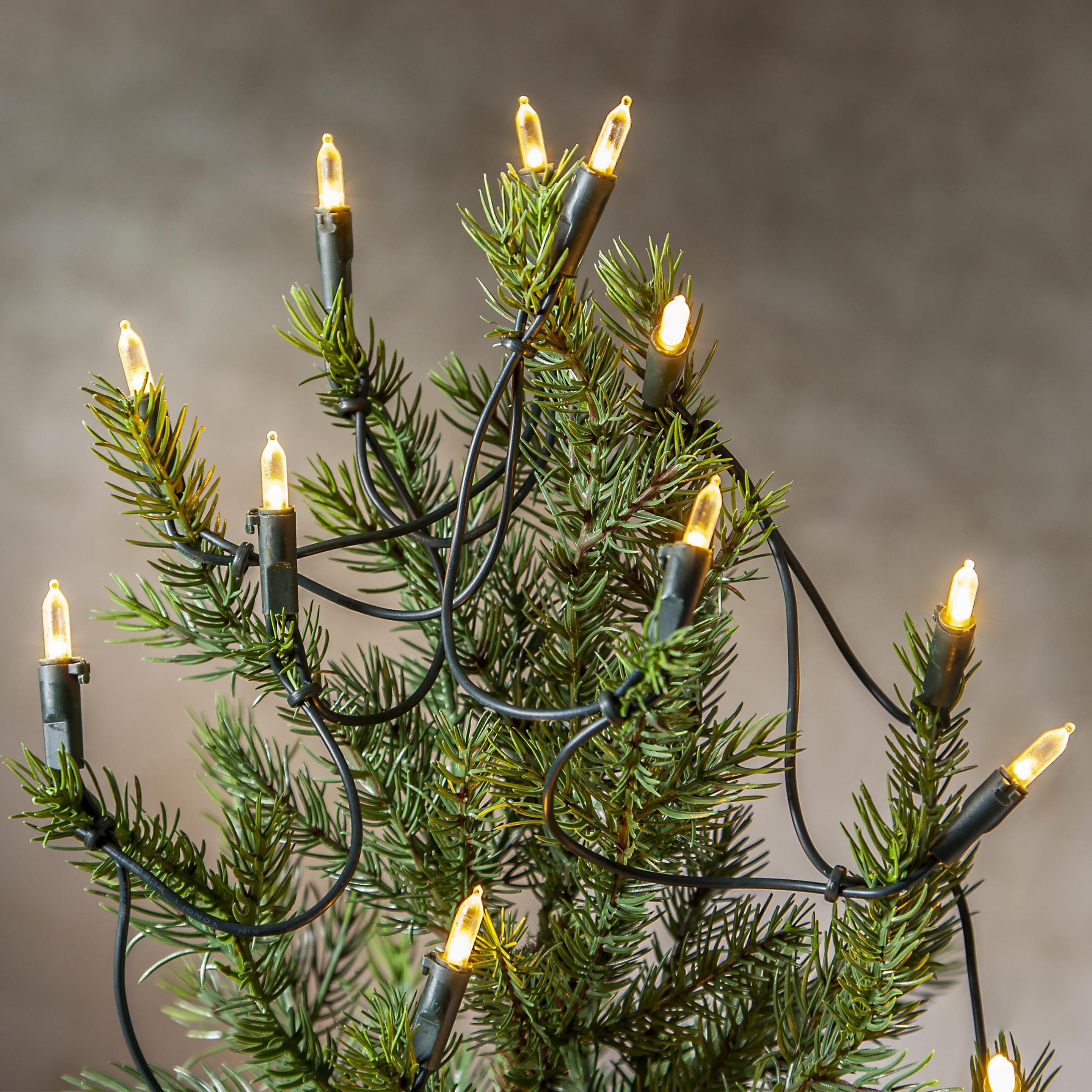 Thumbnail - Star Trading, Lichterkette, P-LED (2.85 m)