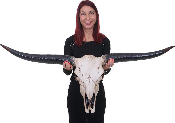 Image du produit JOHN316 Deko Schädel 132cm Stier