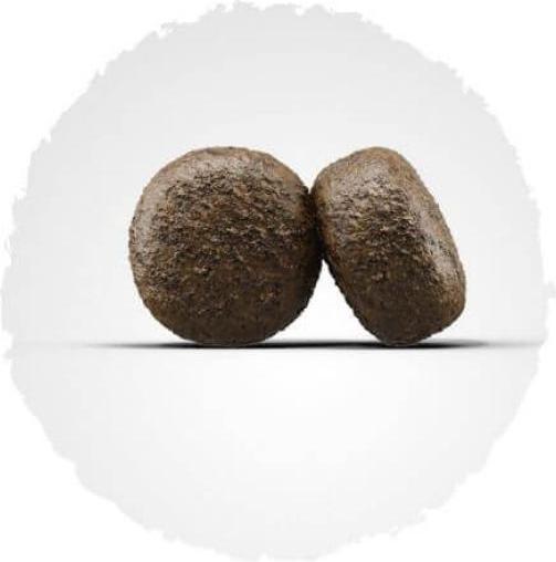 Immagine prodotto Josera Light&Vital (Adulto, 1 pz., 12500 g)