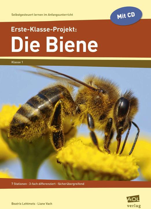 Produktbild Erste-Klasse-Projekt: Die Biene (Deutsch, Beatrix Lehtmets, Liane Vach, 2021)