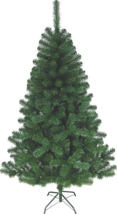 Immagine prodotto Lipo Albero di Natale (210 cm)