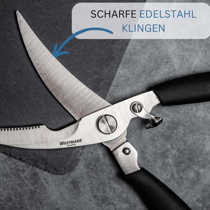 Actual product image Westmark Black Edition - 3-teiliges Geflügel-Set mit Geflügelschere, Bratensaftspritze & Küchengarn