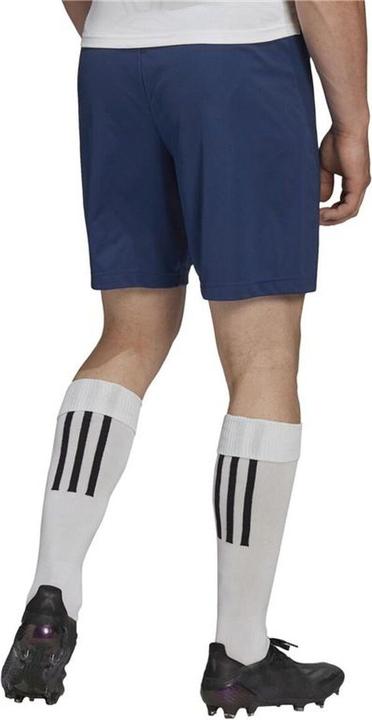 Actual product image Adidas Entrada 22 Shorts Men (S)