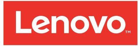 Actual product image Lenovo Storage controller (RAID)