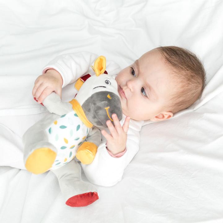 Produktbild Sophie la girafe Zebre