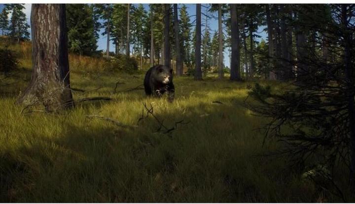 Produktbild THQ Way of the Hunter - Wild Expeditions (Xbox Series X, FR)