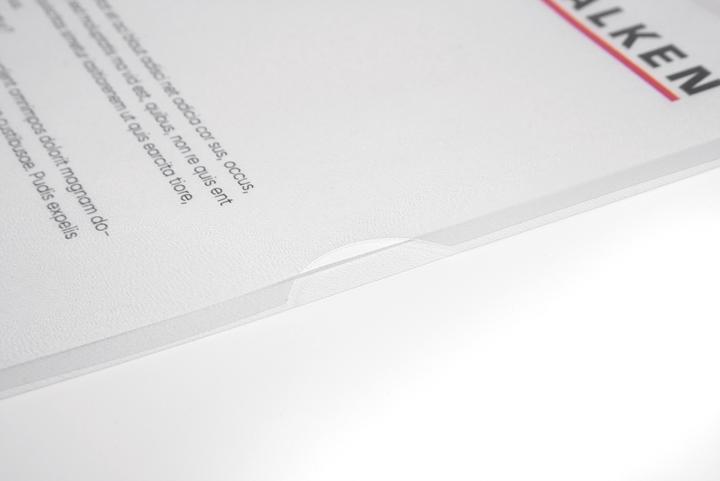 Actual product image Falken Economy file cover (A4, 100 x)
