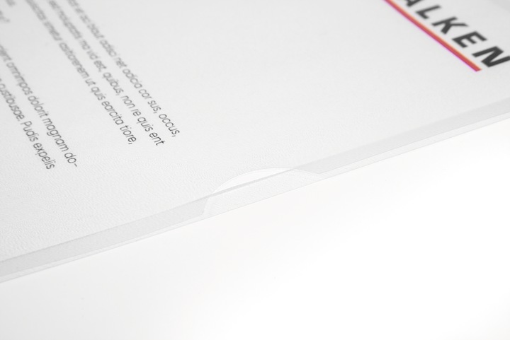 Actual product image Falken Economy file cover (A4, 100 x)