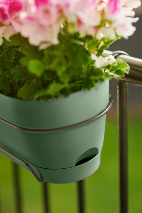 Produktbild Elho Vibia Campana Balkonkasten Allin1 (70 cm)