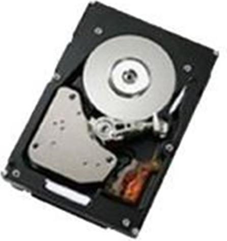 Actual product image IBM 44W2193 Hard disc (0.30 TB, 2.5")