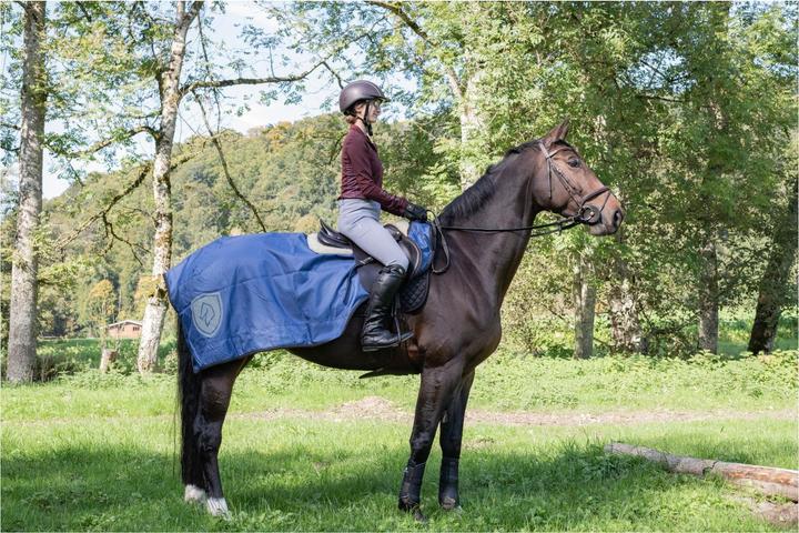 Produktbild Stallone Regen-Nierendecke Reflex