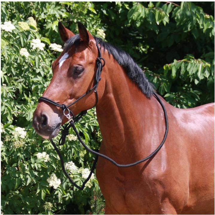 Immagine prodotto Waldhausen cavezza annodata con redini