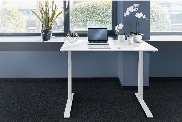 Actual product image Digitus Electric Height-Adjustable Desk (120 x 60 x 73 cm)