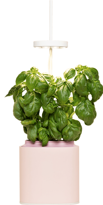 Produktbild Prêt à Pousser Kräutertopf Nano (13.50 cm)