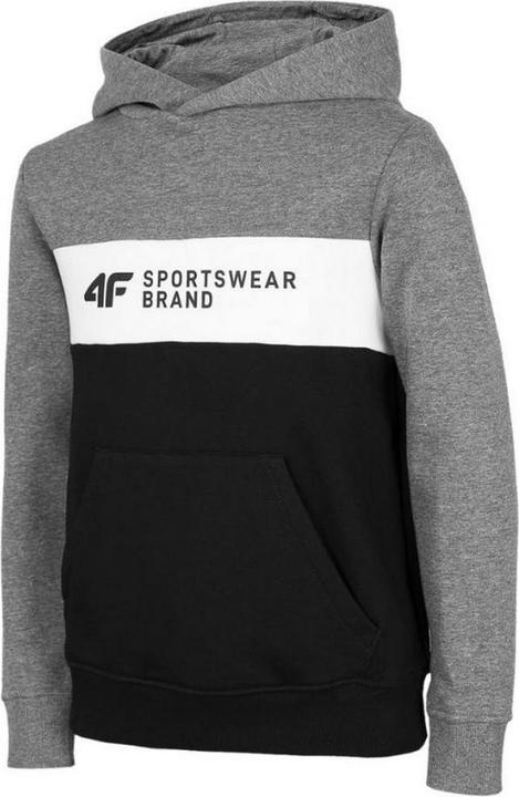 Produktbild 4F HJZ22 JBLM003 Kapuzenpullover (128)