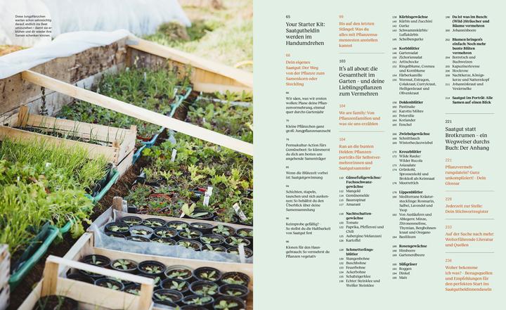 Produktbild Wie du dein eigenes Saatgut gewinnst – und so ein kleines Stück Welt rettest (Deutsch, Sigrid Drage, 2021)