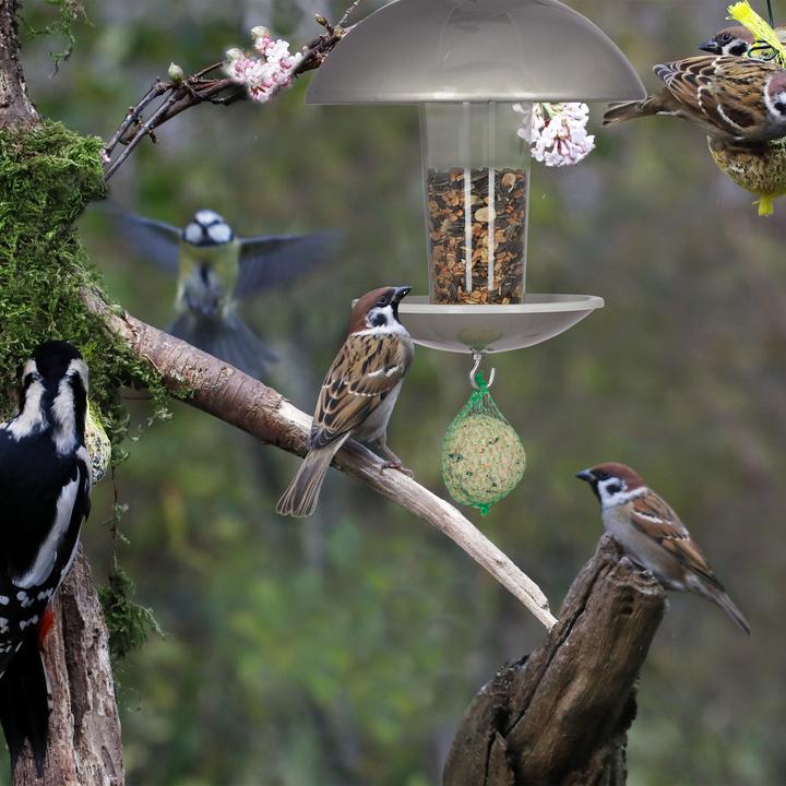 Produktbild Relaxdays Vogelfutterspender