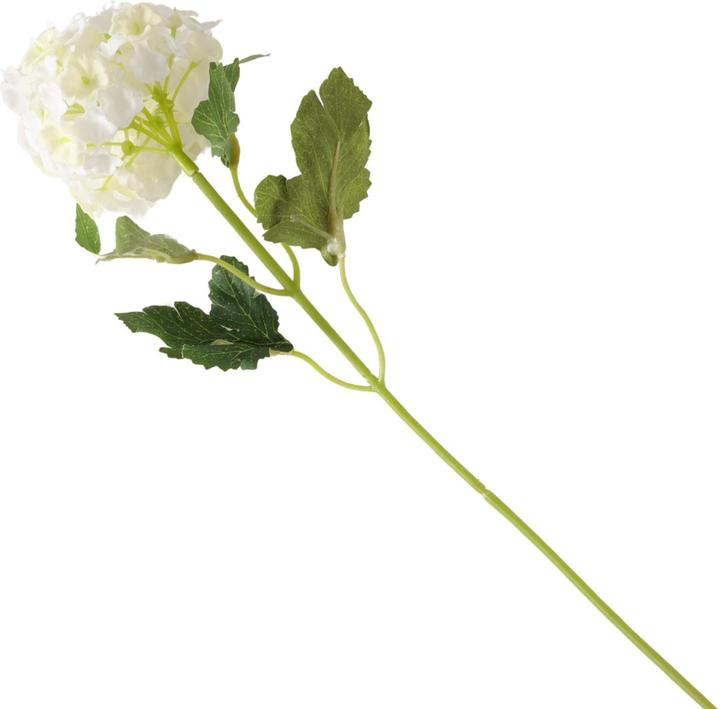 Immagine prodotto Disco Möbel Hortensie (30 cm)