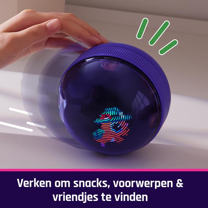 Actual product image Spin Master Bitzee Hamsterball