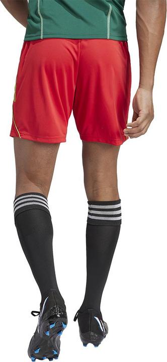 Actual product image adidas Tiro 23 training shorts men (L)