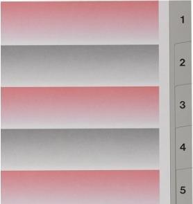 Image du produit Kolma Intercalaire A4 superstrong -10 10 pièces gris