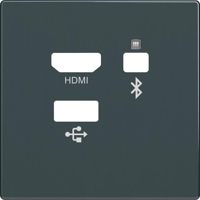 Produktbild Busch-Jaeger Zentralscheibe