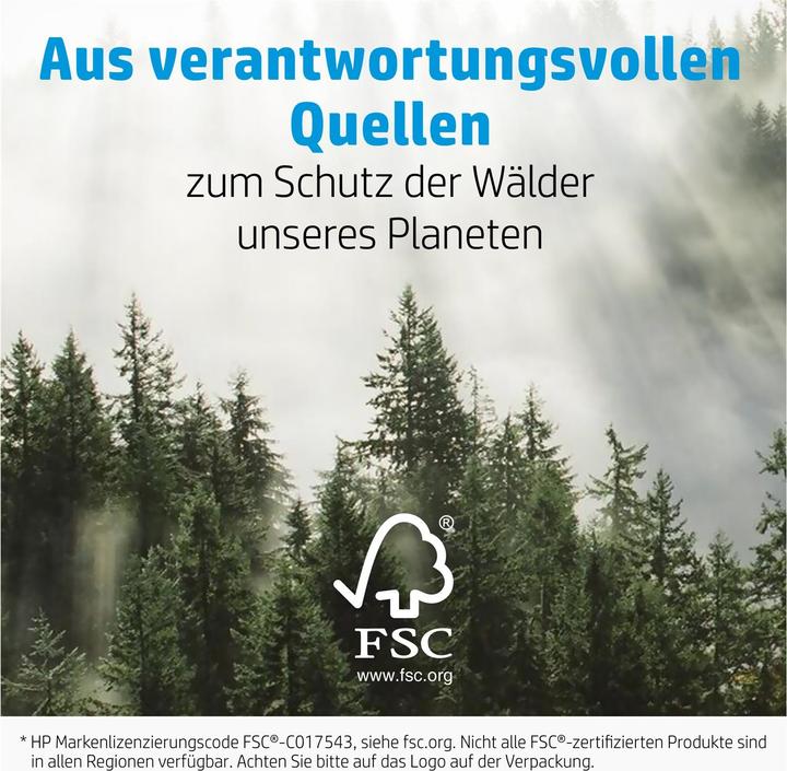 Productafbeelding HP Advanced fotopapier 10 vellen (250 g/m², 101 x 305 mm, 10 Pcs.)