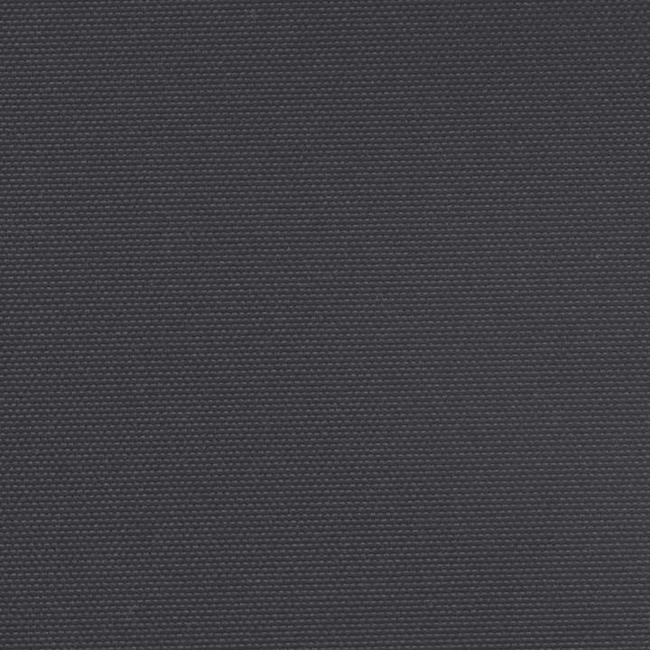 Actual product image vidaXL Extendable side awning (3 m)