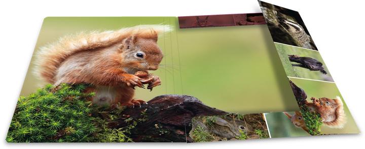 Produktbild HERMA Sammelmappe A4 Motiv (A4, 1x)