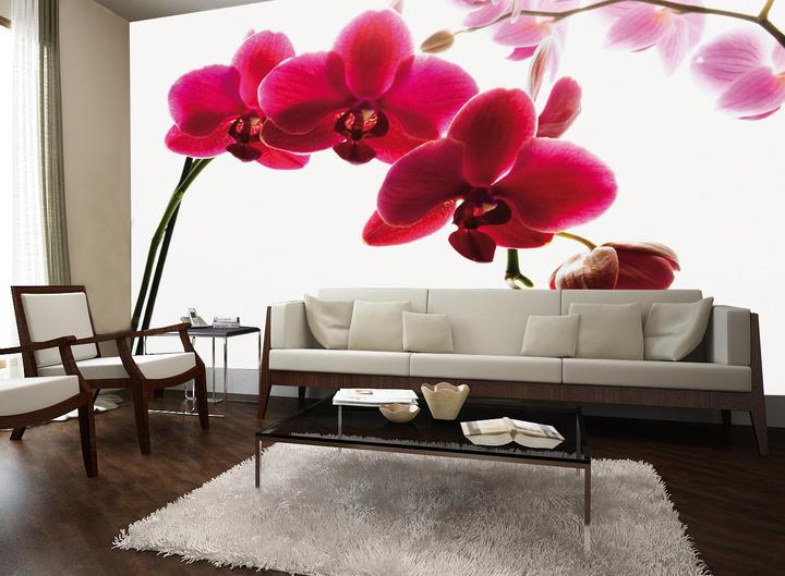 Produktbild 1Wall Orchid Flower