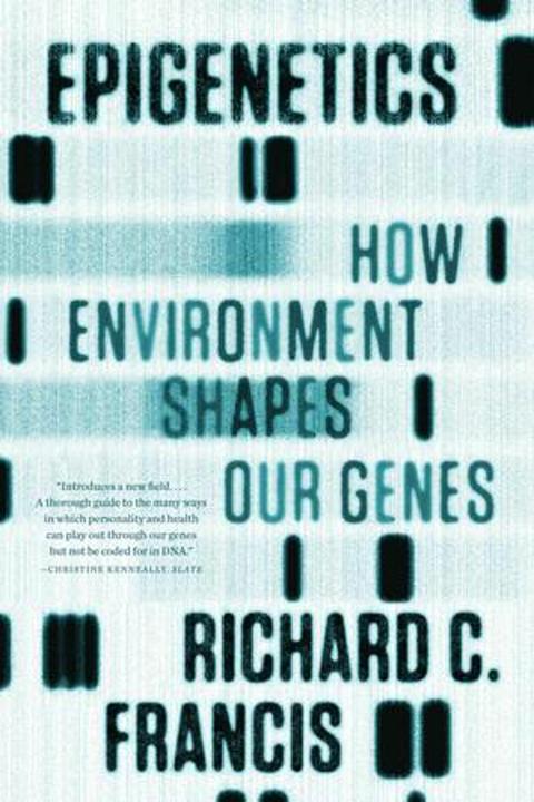 Produktbild Epigenetics (Englisch)