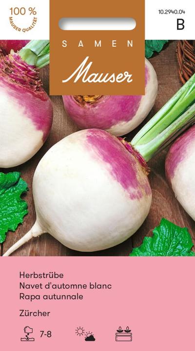 Produktbild Samen Mauser Herbstrübe Zürcher (Gemüsesamen)