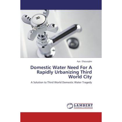 Domestic Water Need For A Rapidly Urbanizing Third World City, Fachbücher