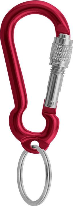 Actual product image Aliens Accessory carabiner MINI RING screw 6 cm