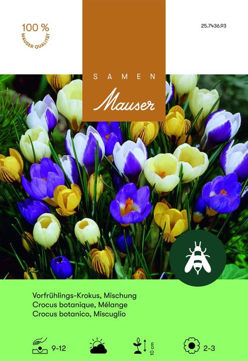 Produktbild Samen Mauser Krokus Mischung (Blumenzwiebeln)