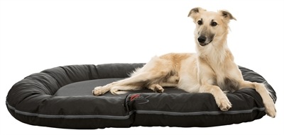 Actual product image Trixie Cushion Samoa Vital (Dog)